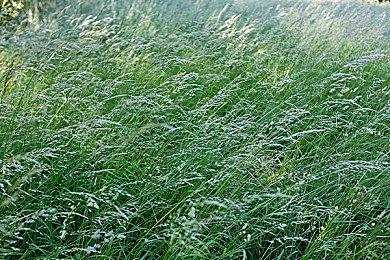 《龙腾世纪：影障守护者》新演示 画面华丽战斗精彩